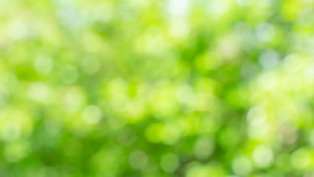 bokeh-effekter i dina bilder